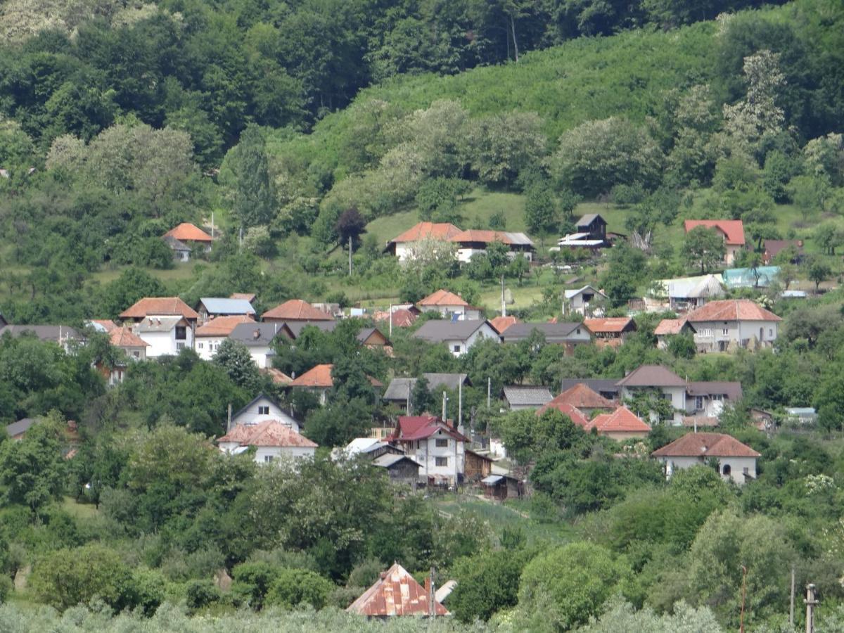 Pensiunea Lacul Albesti Albestii Paminteni Exterior foto