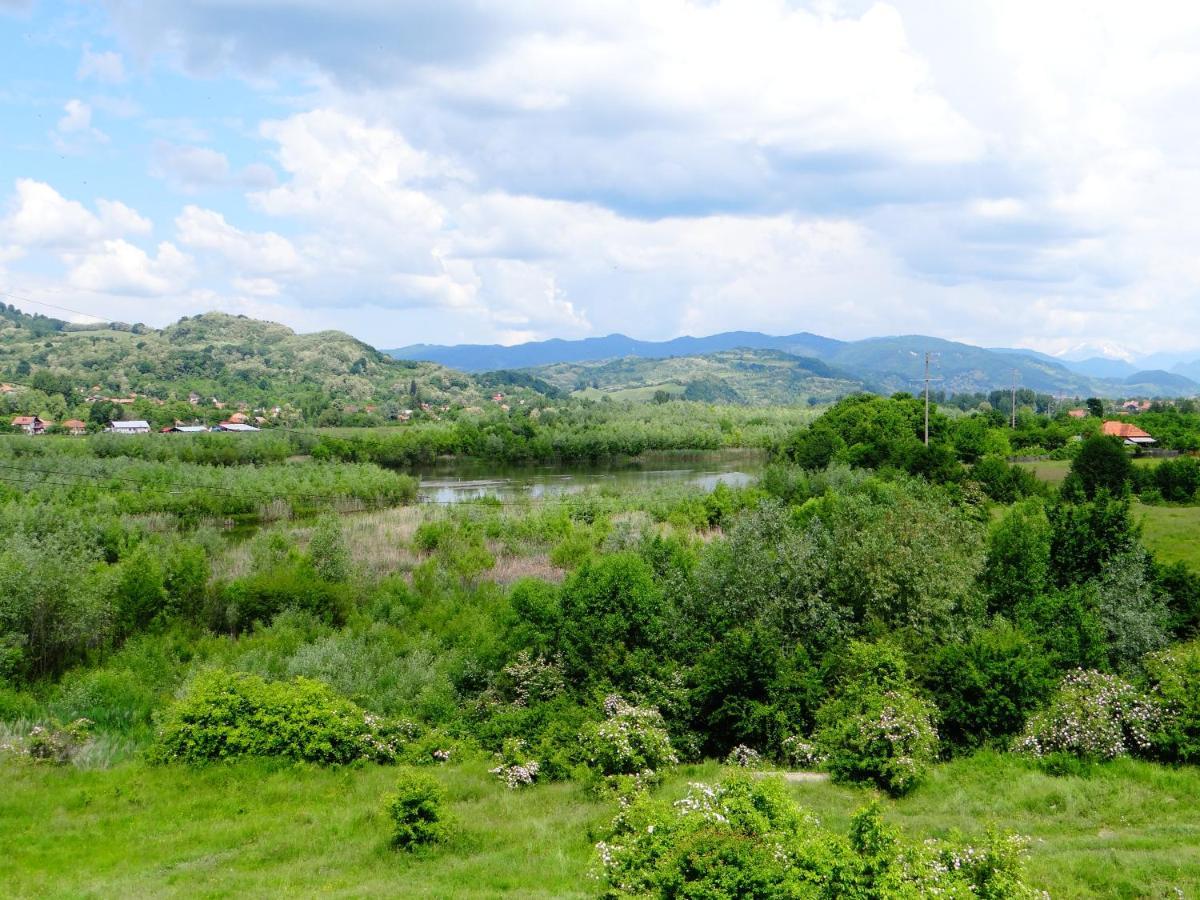 Pensiunea Lacul Albesti Albestii Paminteni Exterior foto