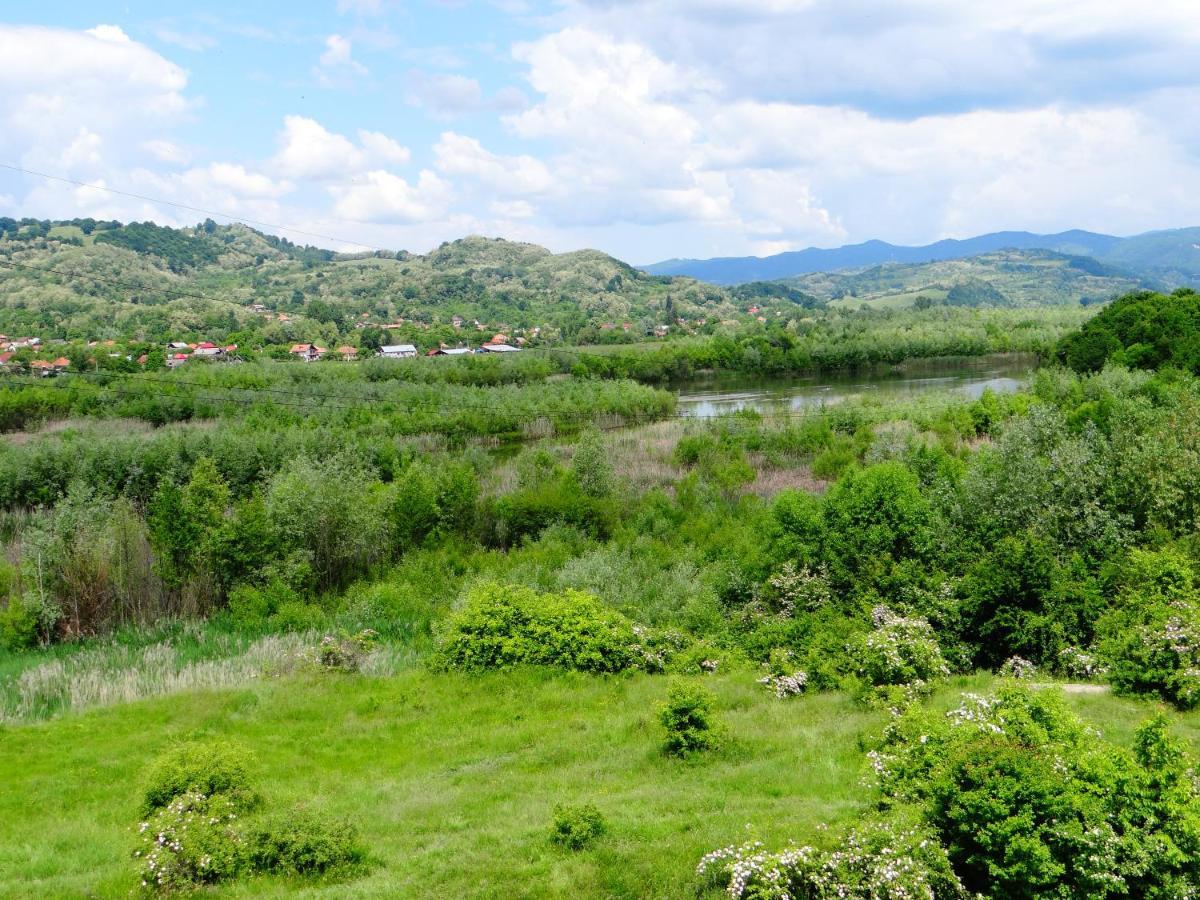 Pensiunea Lacul Albesti Albestii Paminteni Exterior foto