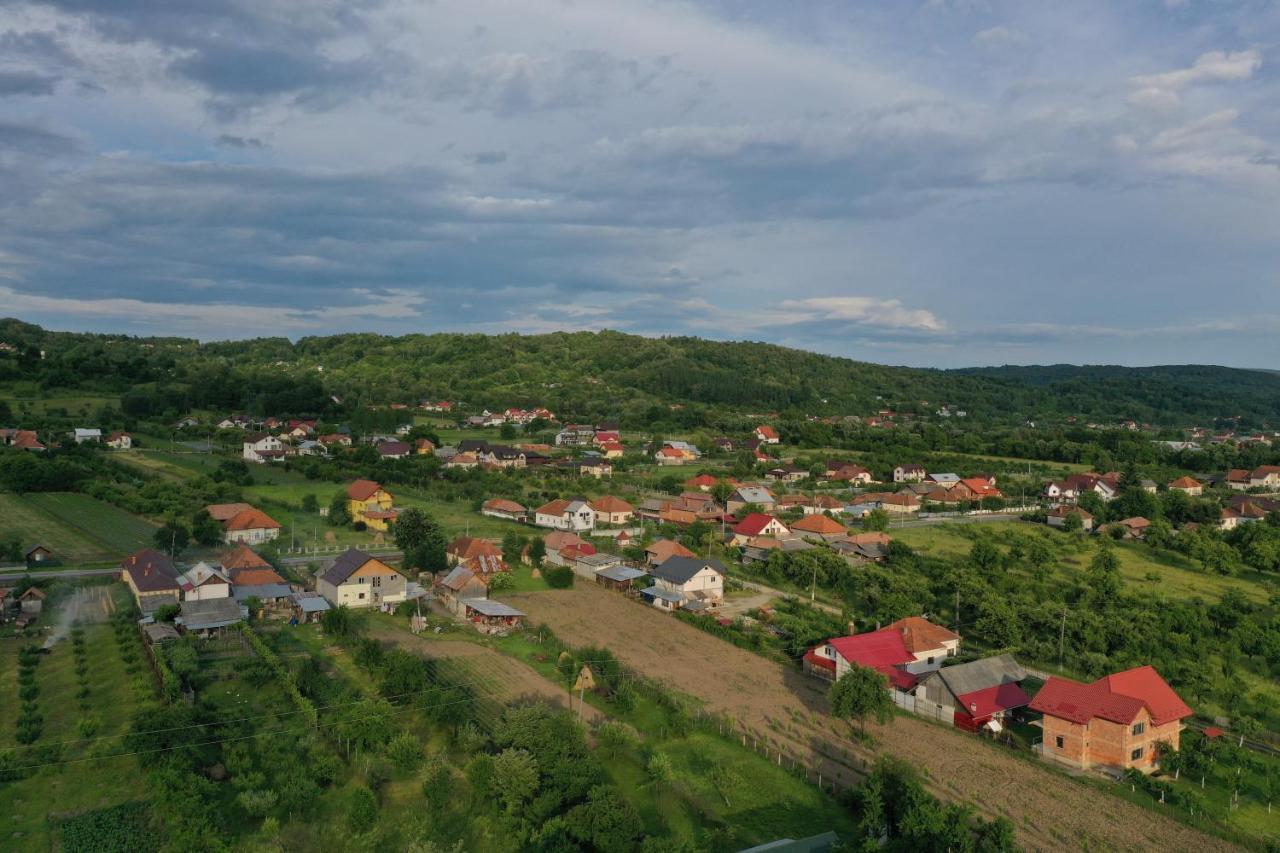 Pensiunea Lacul Albesti Albestii Paminteni Exterior foto