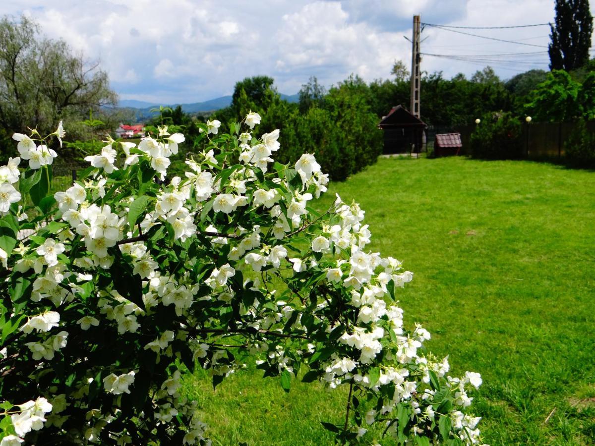 Pensiunea Lacul Albesti Albestii Paminteni Exterior foto