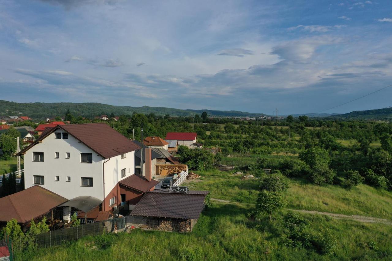 Pensiunea Lacul Albesti Albestii Paminteni Exterior foto